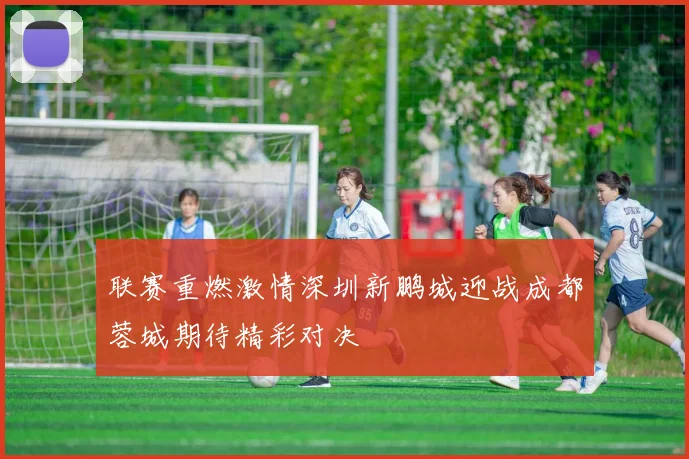 联赛重燃激情深圳新鹏城迎战成都蓉城期待精彩对决