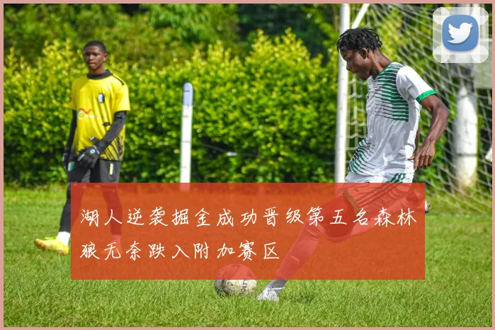 湖人逆袭掘金成功晋级第五名森林狼无奈跌入附加赛区