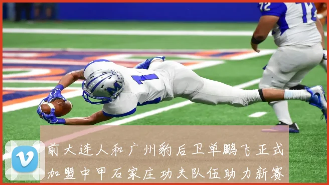 前大连人和广州豹后卫单鹏飞正式加盟中甲石家庄功夫队伍助力新赛季